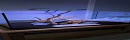 Bettas fish for sale: 105L Fish tank with a second tank - Advert 5