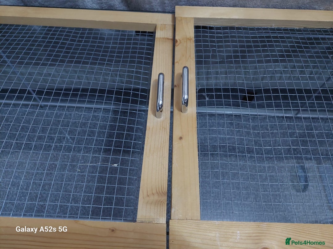 Hamster rodents for sale: HAMSTER CAGE! - Image 3