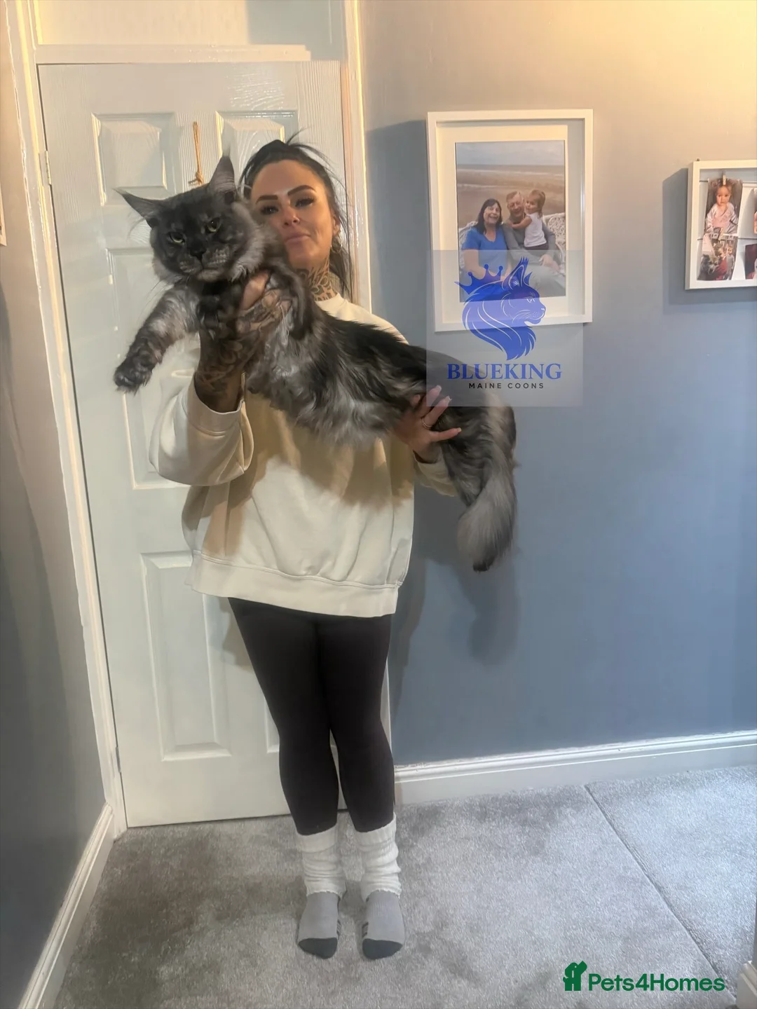 Gallery Image {{count}}