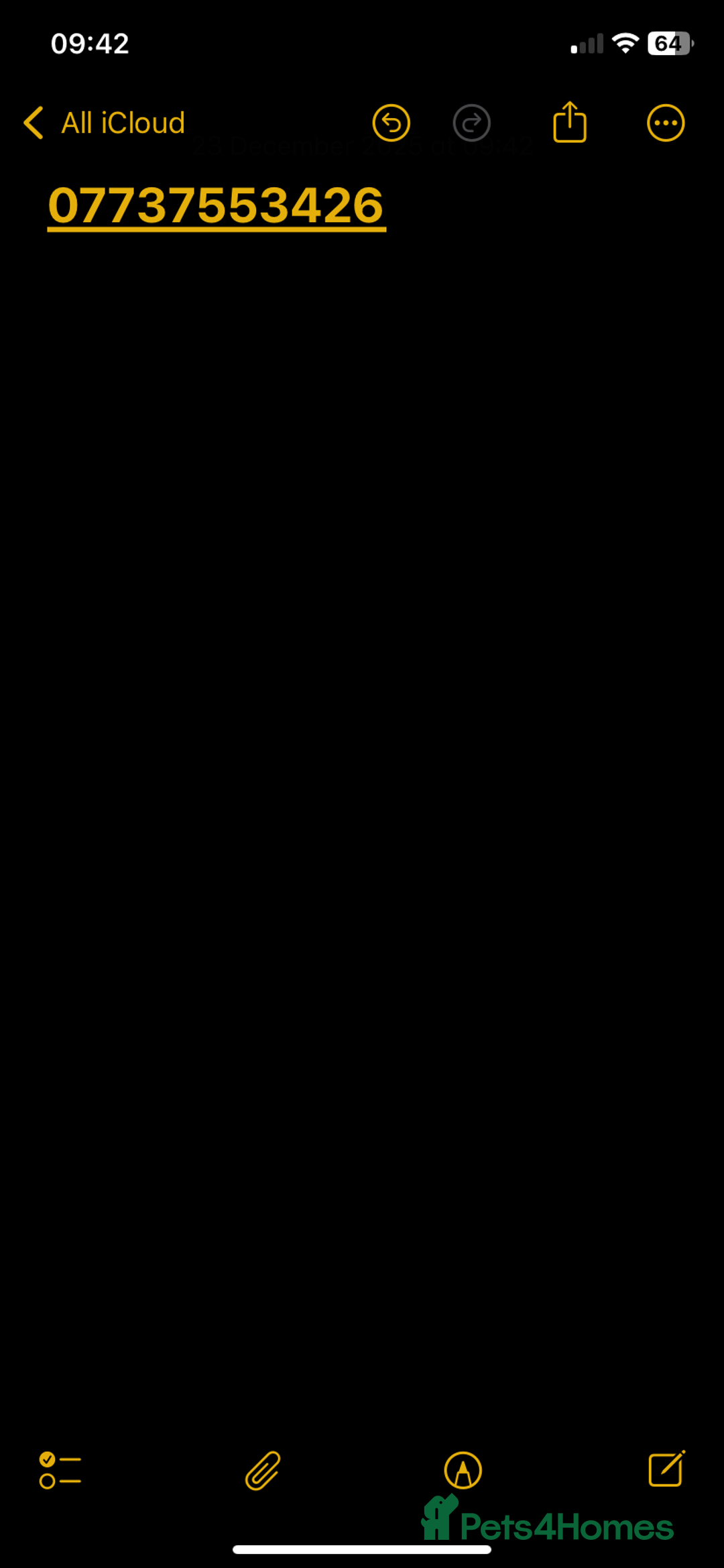 Greyhound dogs for sale: Bull greyhound for rehoming  - Advert 10