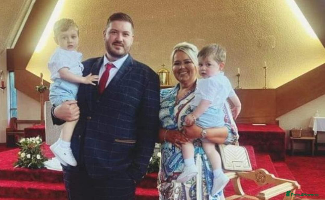 Gallery Image {{count}}