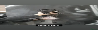 Puppy 2