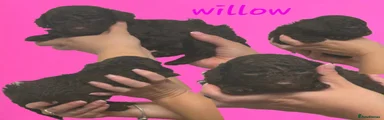 Cockapoo 1