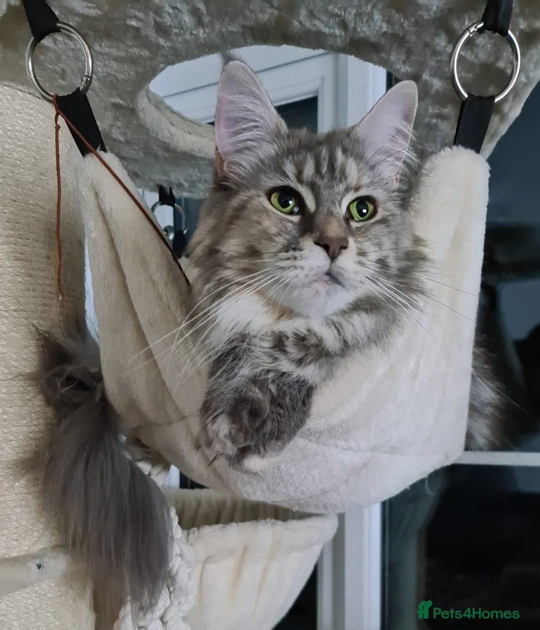 Gallery Image {{count}}