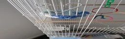 Mixed Breed birds for sale: Bird cage for sale. XXL BRAND NEW accessories Inc. in Dartford - Advert 14