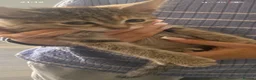 Mixed Breed cats for sale: Kittens for sale in Ipswich - Advert 7