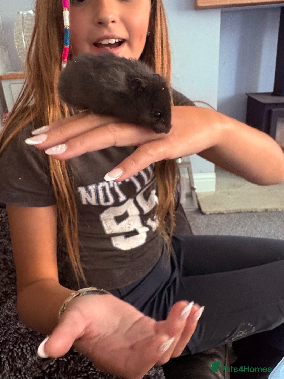 Hamster rodents for sale: Friendly Syrian hamster babies  - Image 18