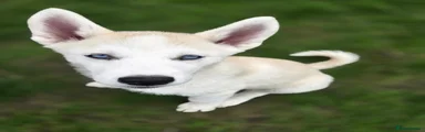 Huskita 3