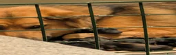 German Shepherd dogs for sale: Beautiful 8 German shepherd puppies - Advert 4