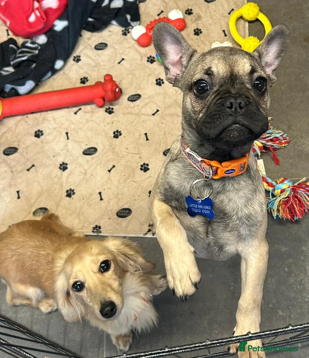 Gallery Image {{count}}