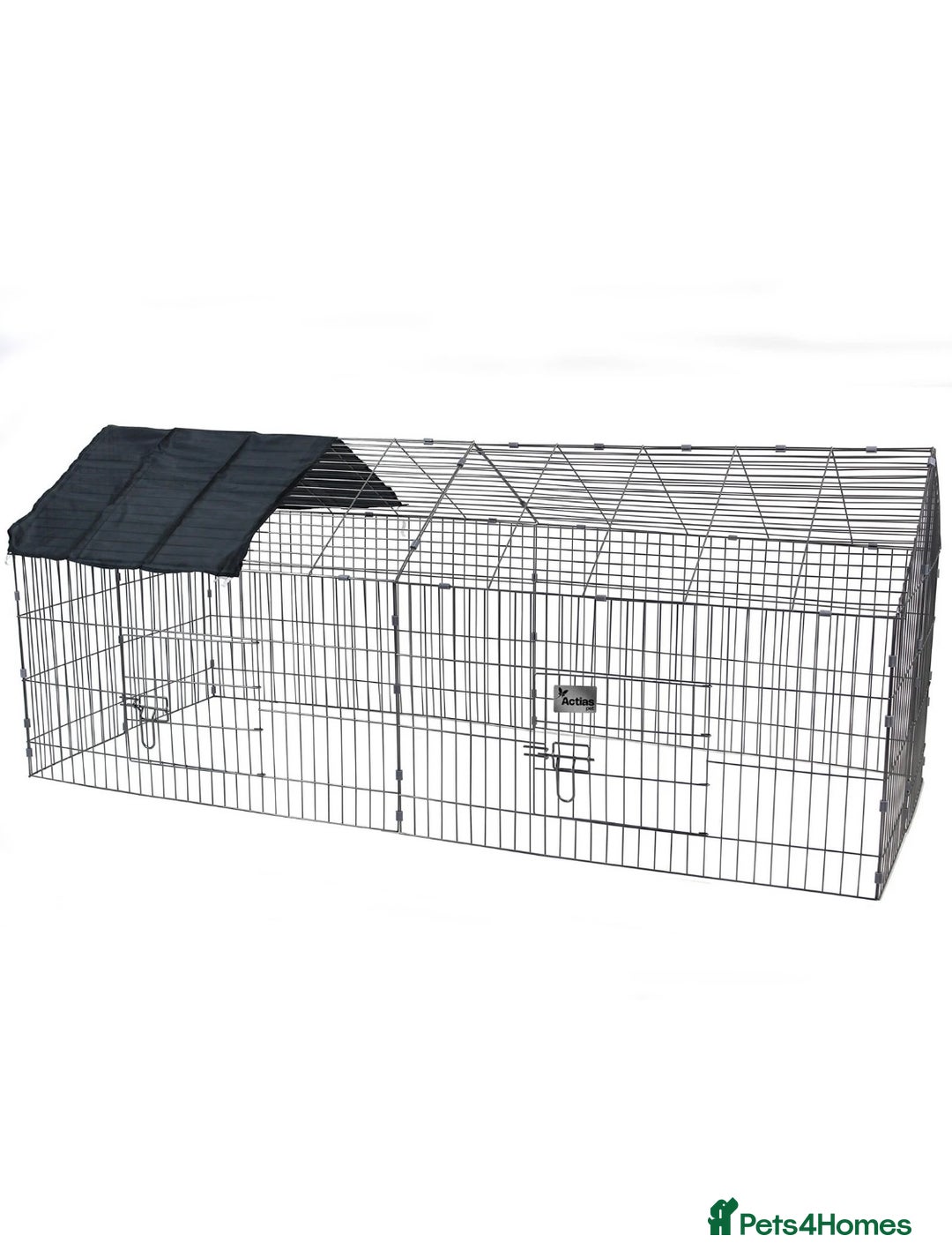 Rex rabbits for sale: 2 male rabbits for sale  - Image 7