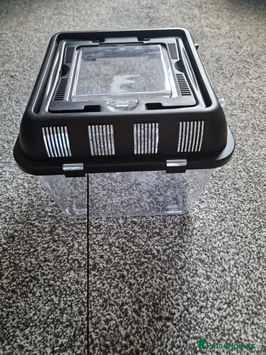 Snake reptiles for sale: 15 month old royal python plus complete set up - Advert 8