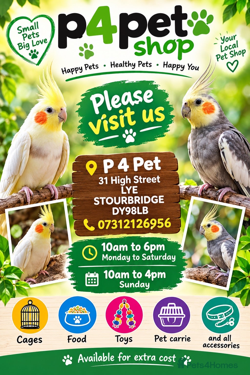 Mixed Breed birds Baby cocktails  - Advert 1