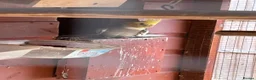 Cockatiels birds for sale: Cockatiels/rosella  - Advert 1