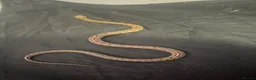 Corn Snake reptiles for sale: Corn snake and mourning gecko with full setups - Advert 10