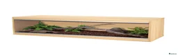 Bearded Dragon reptiles for sale: Vivarium for sale  in London - Advert 2