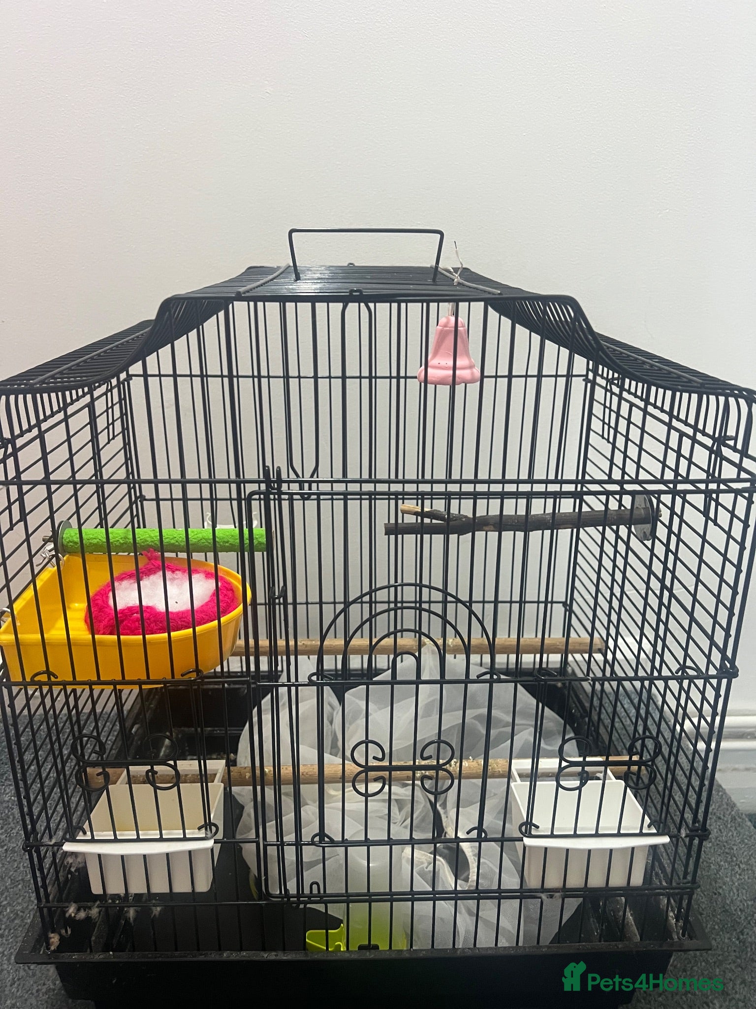 Budgerigars birds BIRD CAGE  - Advert 15