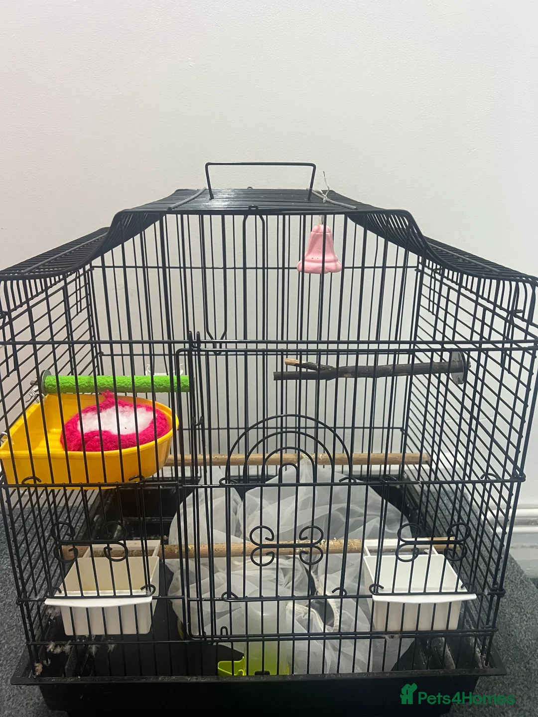 Budgerigars birds for sale: BIRD CAGE  - Advert 1