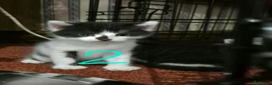 George 