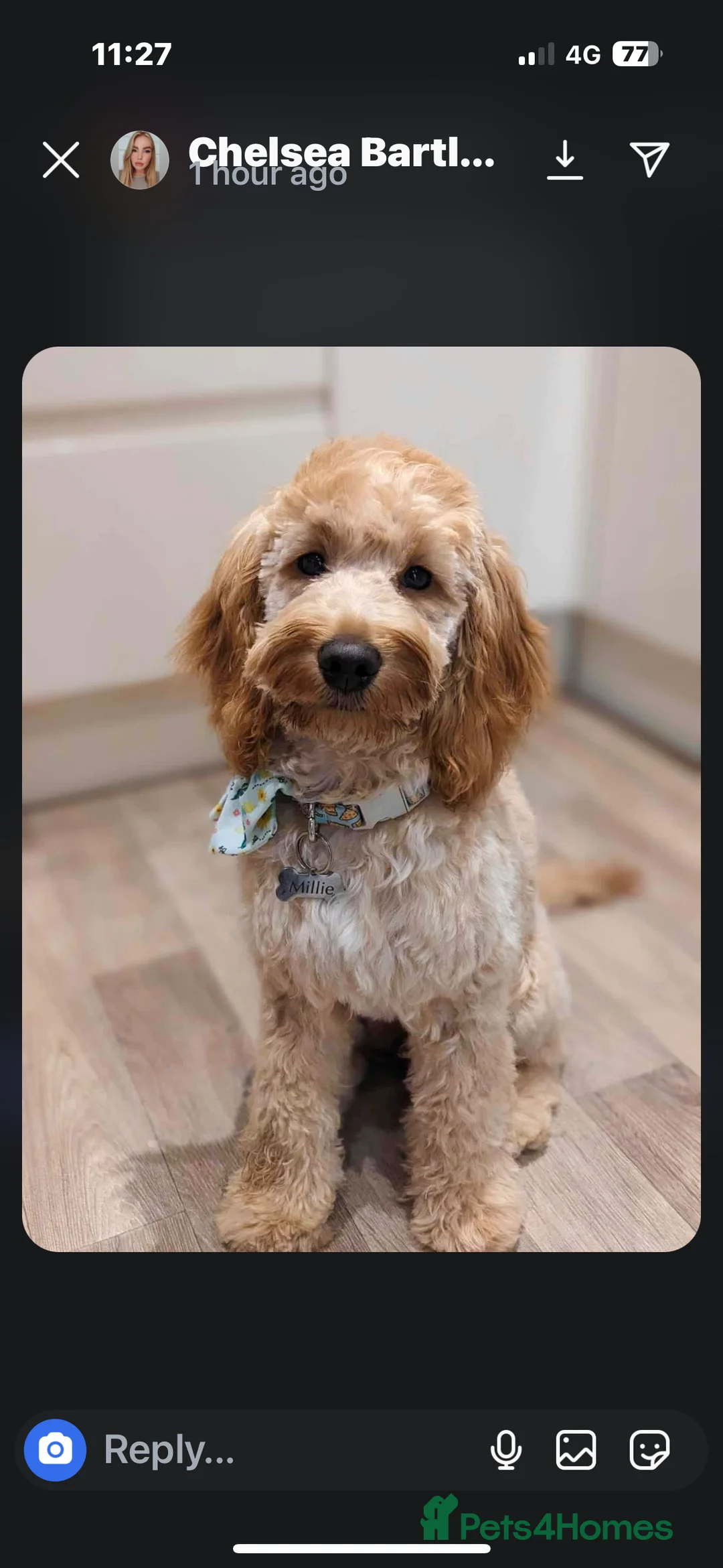 Gallery Image {{count}}