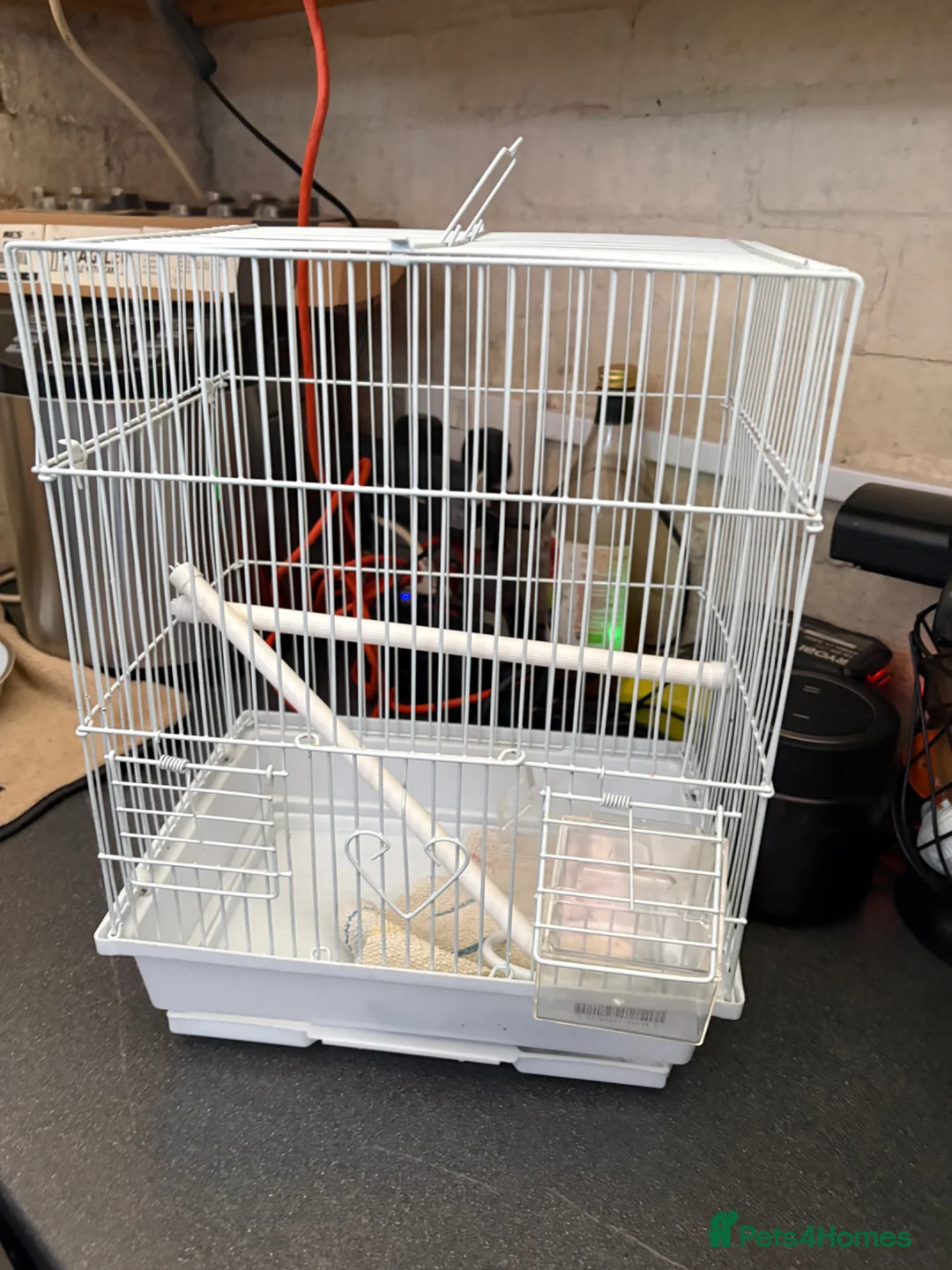 Budgerigars birds for sale: Beautiful cage, bonded pair & transport cage - Advert 3