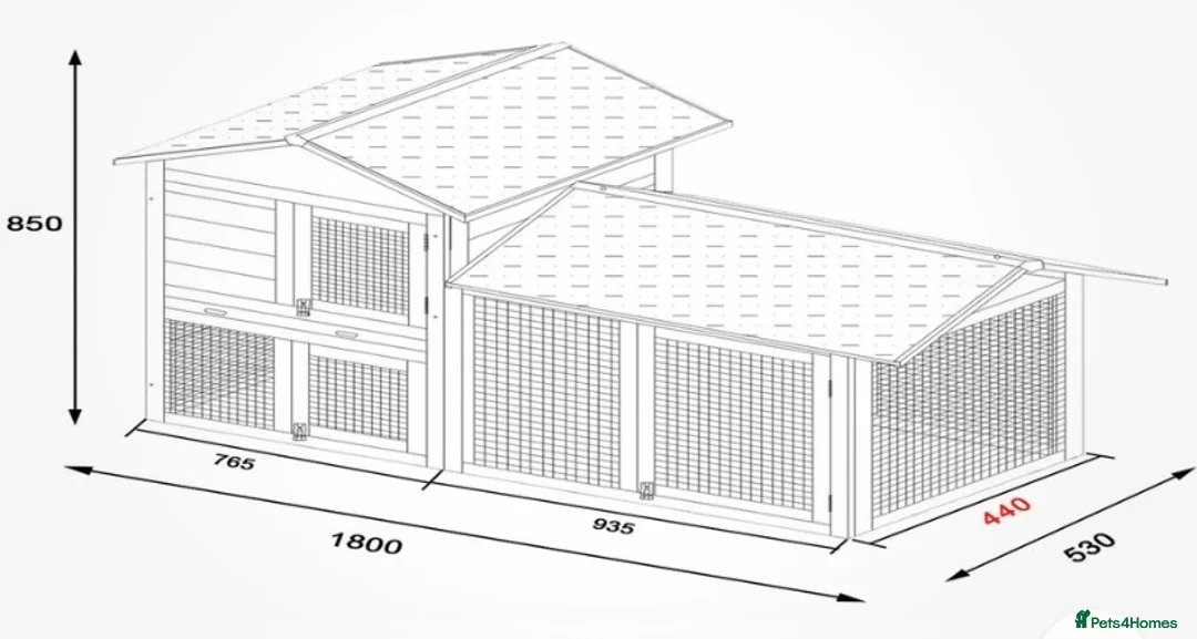 Mini Lop rabbits for sale: Mini lops  ( Est since 2014 ) - Advert 10