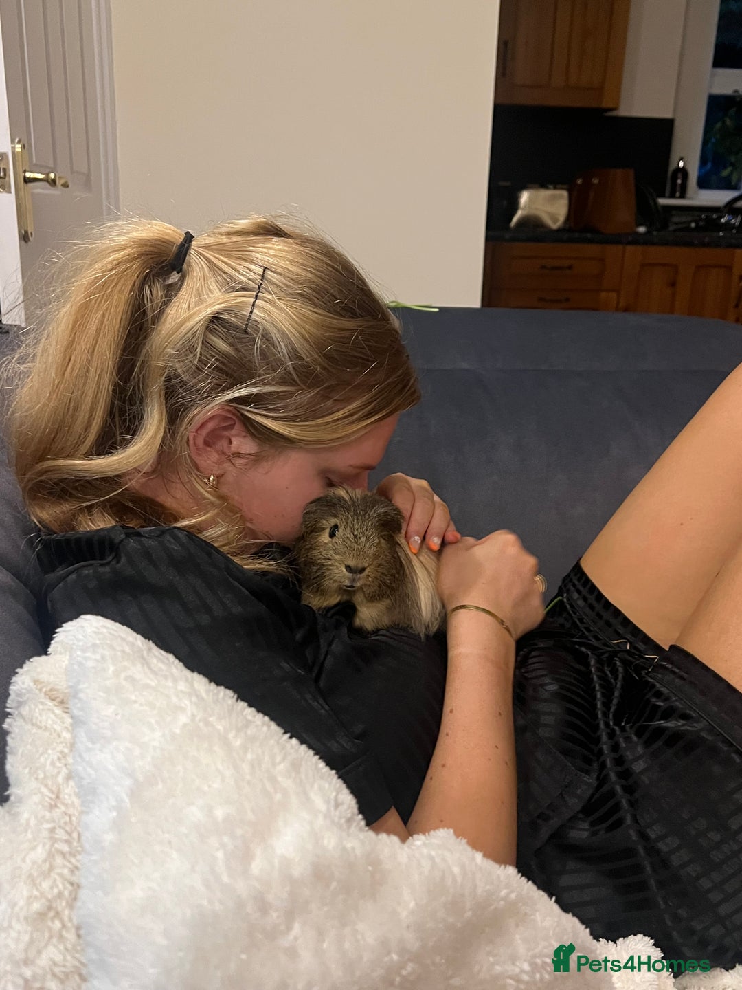 Guinea Pig rodents for sale: 2 male brother guinea pigs  - Image 3