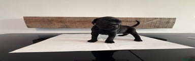 Cane Corso Puppy 3