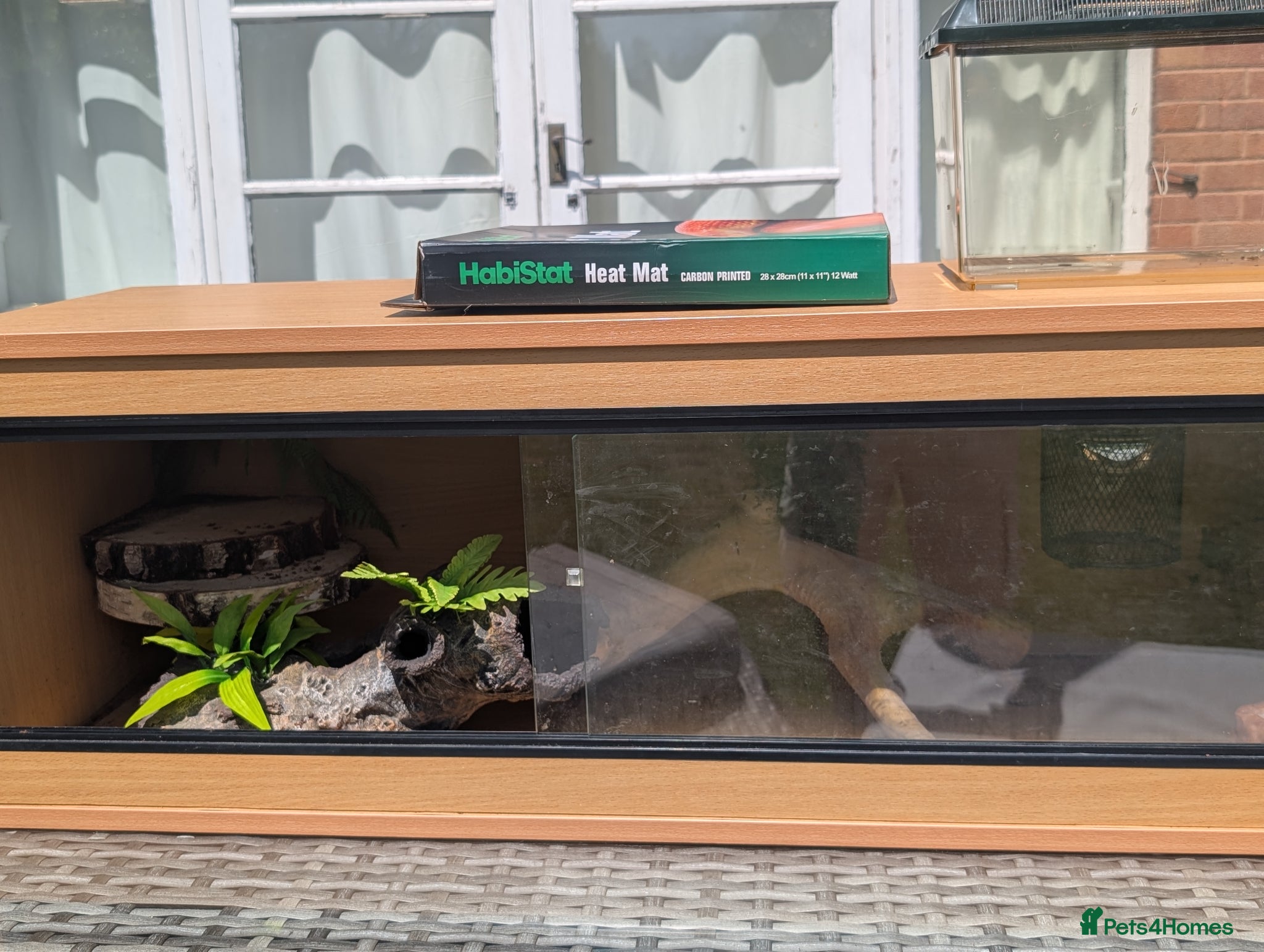 Bearded Dragon reptiles for sale: Vivarium set up only  in Solihull - Advert 5