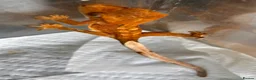 Gecko reptiles for sale: Baby Crested Geckos in Grimsby - Advert 4