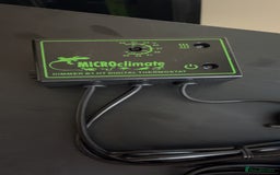 Bearded Dragon reptiles for sale: Bearded dragon and full set up - Advert 4