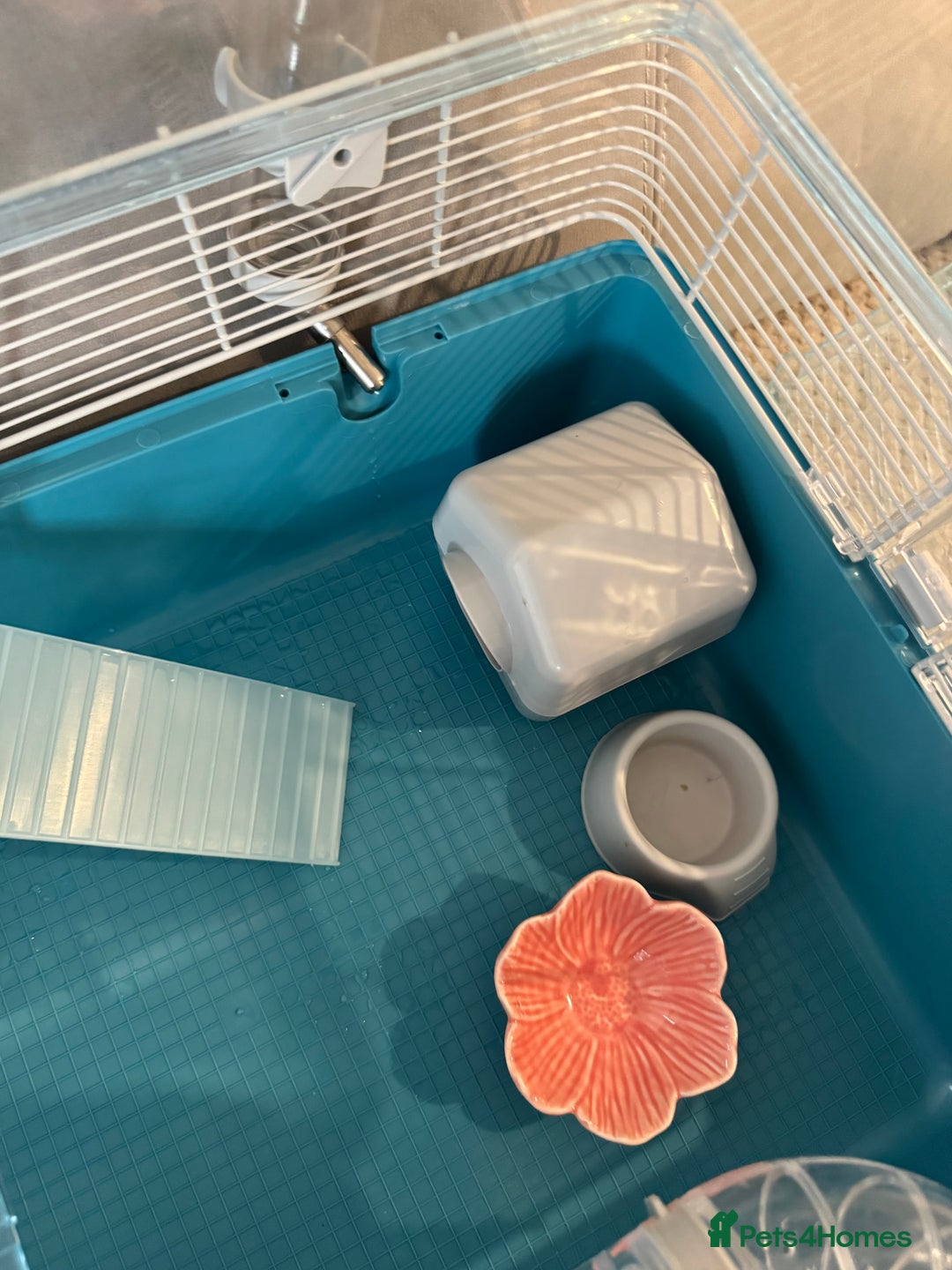 Hamster rodents for sale: Hamster cage set up with everything u need - Image 9