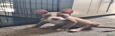 River