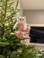 British Shorthair cats in Maidstone - Advert 2
