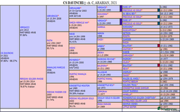Arabian horse horses for sale: ARABIAN pb  - Image 7