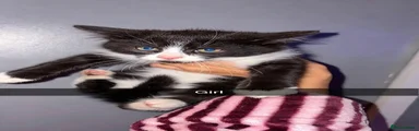 Maine Coon 4