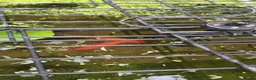 Goldfish fish for sale: Goldfish x3 - Advert 8
