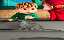 British Shorthair cats for sale: Two British Short Hairs-Have To Be Sold Together - Image 2