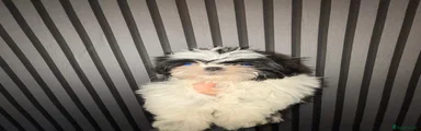 Shih Tzu Puppy 2