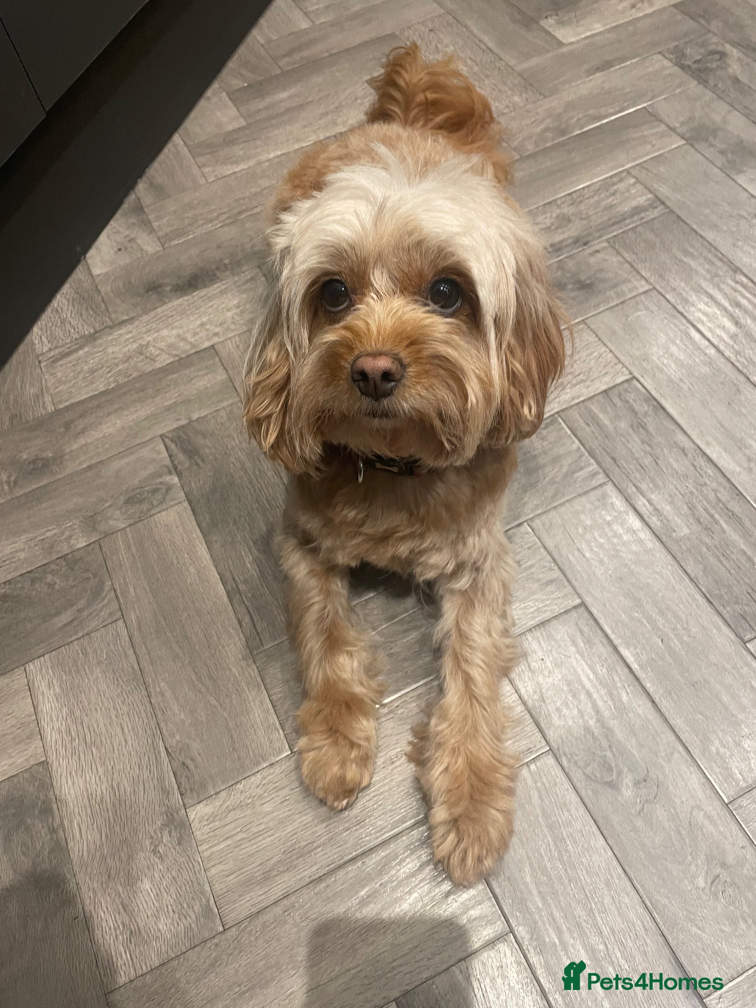 Skye