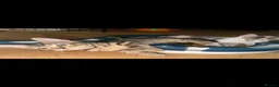 Mixed Breed cats for sale: 🐾Kittens Looking for Their New Forever Homes!!🐾 in Alexandria - Advert 7