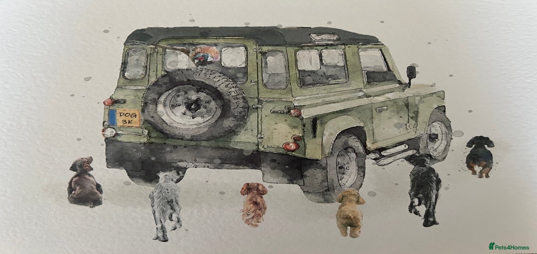 Gallery Image {{count}}