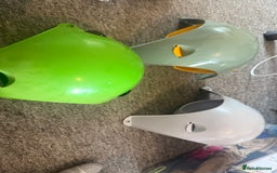 Rat rodents for sale: 3 male rats and massive amount of accessories  - Image 18