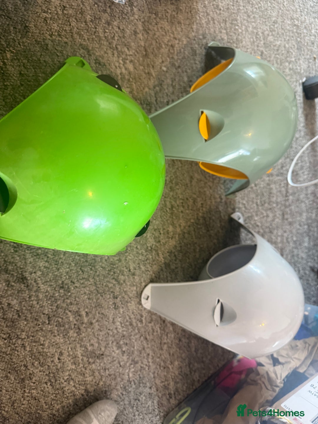 Rat rodents for sale: 3 male rats and massive amount of accessories  - Image 18