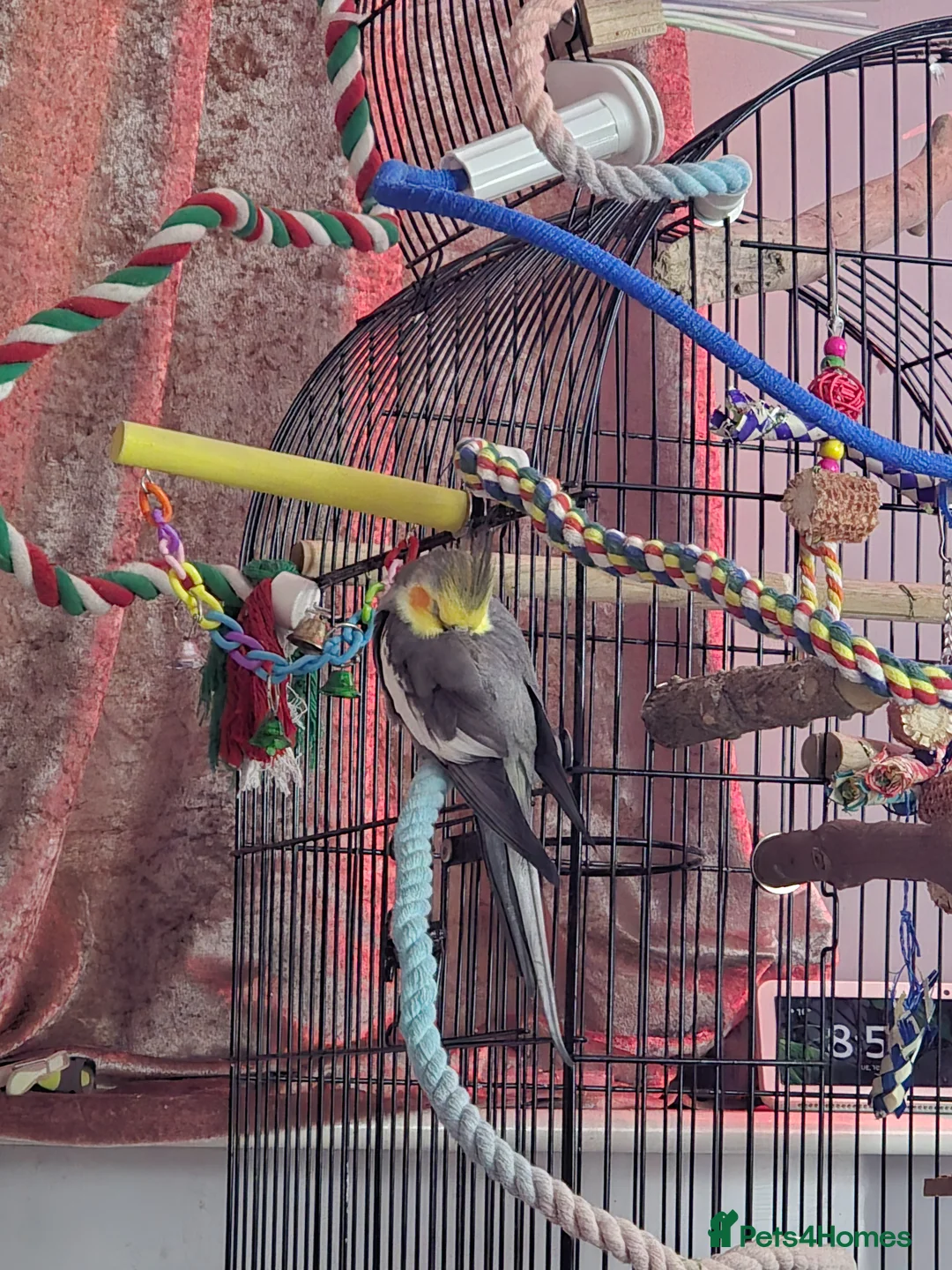 Gallery Image {{count}}