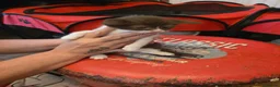 Sphynx cats for sale: Sphynx cross kittens in North Shields - Advert 15