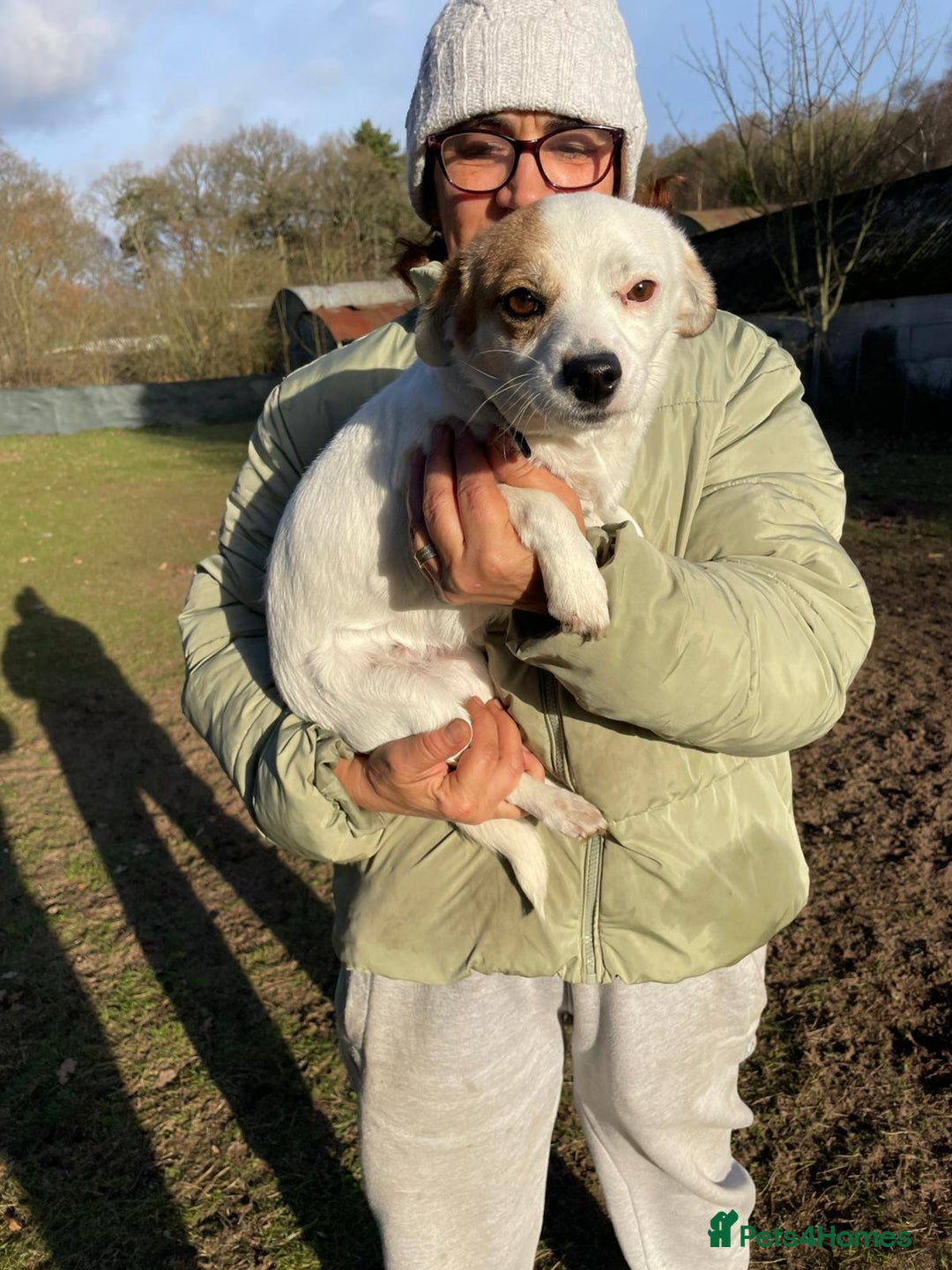 Mixed Breed dogs for adoption: RONNA - a beautiful tiny girl, for a Loving Home - Advert 20