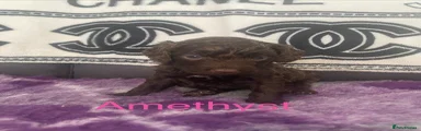 Amethyst