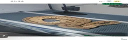 Python Snake reptiles for sale: Ball pythons  - Advert 3