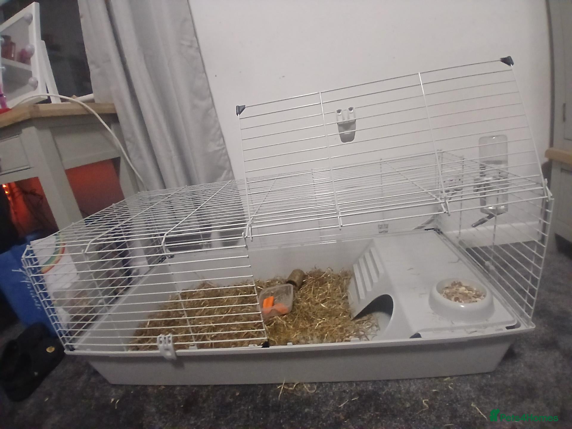 Mixed Breed rabbits Cosey Rabbit home  - Advert 10